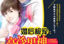 高冷男神萌萌爱乔灵溪陆修远,高冷男神萌萌爱章节在线阅读-经典文学