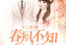 春风不知你情深小说的免费电子版在哪里可以下载或阅读？-经典文学