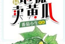 开局地摊卖黄瓜小说有没有完整的免费版本在线阅读?-经典文学
