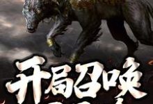在线搜索张扬的完整小说,免费阅读开局召唤一只二哈-经典文学