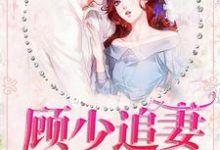 宁珂顾予修穆婷婷是哪本书的主角?寻找顾少追妻三十六计免费阅读-经典文学