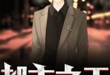 《都市之王》小说章节列表免费试读，郑桐苏乐瑶宁百合小说在线阅读-经典文学