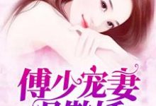 寻找傅少宠妻很傲娇小说的最新更新章节-经典文学