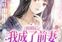 离婚后，我成了前妻高攀不起的神盛夏小说免费阅读-经典文学
