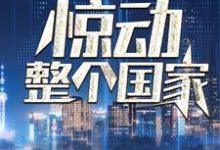 我一通电话，惊动整个国家章节免费在线阅读，叶北完结版-经典文学