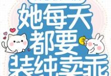 陆晚李翊小说在哪里可以看-经典文学