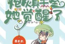 主角叫顾轻颜江野的小说在哪阅读-经典文学