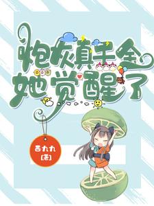 主角叫顾轻颜江野的小说在哪阅读