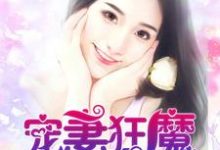 宠妻狂魔最新章节，宠妻狂魔免费阅读-经典文学