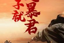 老子就是暴君！夏泽苏媚儿，老子就是暴君！章节在线阅读-经典文学