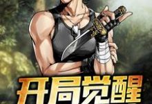 完结版《开局觉醒SSS级血统》免费阅读-经典文学