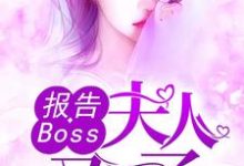 《报告Boss：夫人又怀了》小说大结局免费试读 沈千歌阎默寒汤少龙小说-经典文学