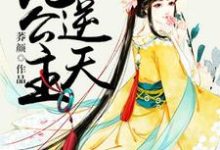 在线搜索婉玉雪色的完整小说，免费阅读绝色妖娆：逆天九公主-经典文学