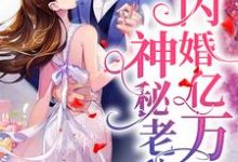 闪婚亿万神秘老公小说有没有完结版在线？-经典文学