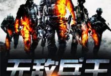 哪里可以免费读到唐龙谭维方仲海的完整故事？寻找无敌兵王-经典文学