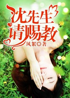 沈先生，请赐教这本小说怎么样？免费在线阅读试试