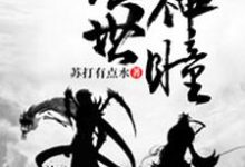 绝世神瞳免费阅读，绝世神瞳苏博秦梦欣张青云-经典文学