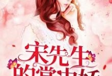 小说《宋先生的掌中娇》章节免费阅读-经典文学