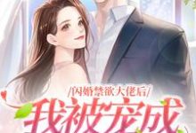 闪婚禁欲大佬后,我被宠成高岭之花小说全文哪里可以免费看?-经典文学