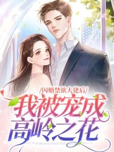 闪婚禁欲大佬后，我被宠成高岭之花小说全文哪里可以免费看？