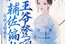 求宋清荷纳兰琰小说免费资源-经典文学