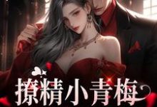 撩精小青梅:竹马队长超宠江轶津何汀渔小说在线章节目录阅读最新章节-经典文学