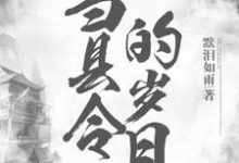 当县令的岁月小说的无弹窗阅读体验，寻找免费阅读网站-经典文学