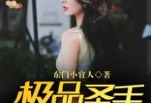 哪里能找到极品圣手在都市小说的全部章节？-经典文学