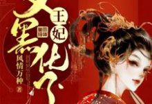 王妃又黑化了免费阅读，王妃又黑化了章节在线阅读-经典文学