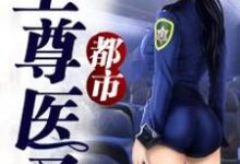 完结版《都市至尊医圣》章节阅读-经典文学