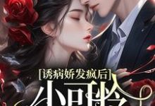 苏沐傅泽谦的故事在哪本书里？免费阅读诱病娇发疯后，小可怜插翅难飞-经典文学