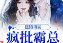 小说《破镜重圆：疯批霸总太缠人》在线章节阅读-经典文学