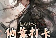 赵子奕小说《快穿大宋:他靠打卡领取奖励》在线阅读-经典文学