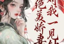 绝美娇妻对我一见钟情小说,绝美娇妻对我一见钟情免费阅读-经典文学