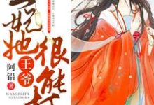 王爷,王妃她很能打小说,王爷,王妃她很能打免费阅读-经典文学