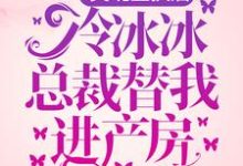 灵魂互换后，冷冰冰总裁替我进产房免费阅读，灵魂互换后，冷冰冰总裁替我进产房章节在线阅读-经典文学