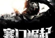 主角顾青苏小小小说寒门崛起免费阅读-经典文学