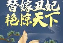 穿越后，替嫁丑妃艳惊天下小说，穿越后，替嫁丑妃艳惊天下免费阅读-经典文学