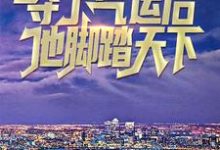 赵凡苏柔为主角的小说好看吗?求夺了气运后,他脚踏天下免费试读-经典文学