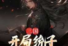 完结版《三国:开局统子向我投靠》章节阅读-经典文学