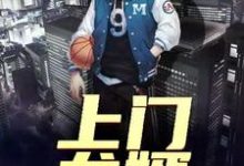 上门龙婿小说的免费电子版在哪里可以下载或阅读?-经典文学