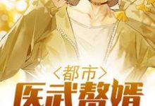 已完结小说《都市医武赘婿》章节免费阅读-经典文学