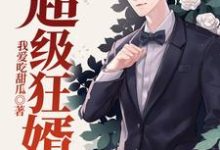 陈英雄何婧妍小说在线章节免费阅读（超级狂婿无弹窗无删减）-经典文学