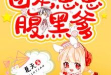 团宠崽崽腹黑爹小说，团宠崽崽腹黑爹在线阅读-经典文学