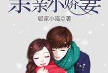 安歌陆乔琛陆宝贝小说在线章节免费阅读(Boss凶猛之床咚小娇妻无弹窗无删减)-经典文学