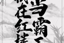 《我在红楼当霸王》全集免费在线阅读（贾环薛宝钗）-经典文学