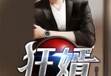 狂婿小说最新章节在哪里可以读到?-经典文学