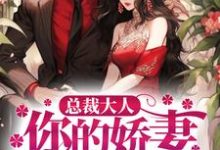 《总裁大人,你的娇妻已跑路》全集免费在线阅读(叶展眉言止安若瑜南瑾)-经典文学
