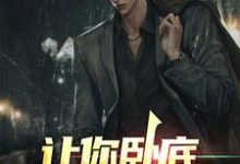 让你卧底,没让你当老大小说全文阅读需要付费吗?寻找免费资源-经典文学