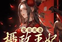 已完结小说《宠妾灭妻？摄政王妃她不干了》章节在线阅读-经典文学